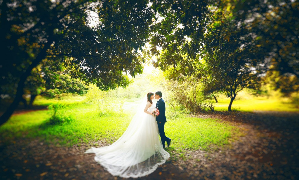 10 kinh nghiệm du lịch kết hợp chụp ảnh cưới 2026 tiết kiệm chi phí