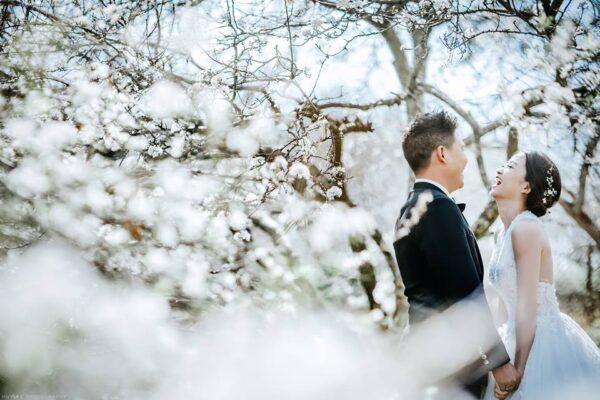 10 kinh nghiệm du lịch kết hợp chụp ảnh cưới 2026 tiết kiệm chi phí